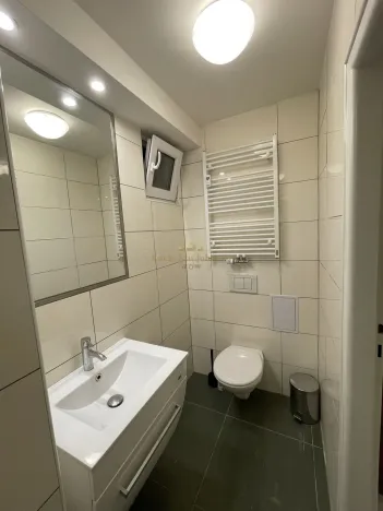 Prodej bytu 1+kk, Praha - Žižkov, Přemyslovská, 38 m2