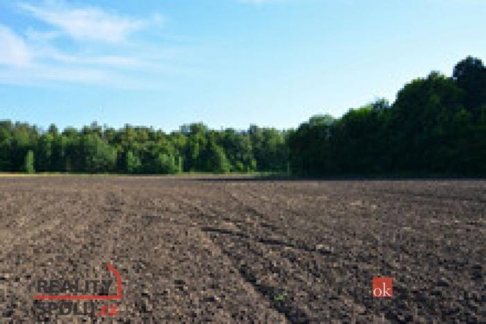 Prodej pozemku pro bydlení, Bohdašín, 1300 m2