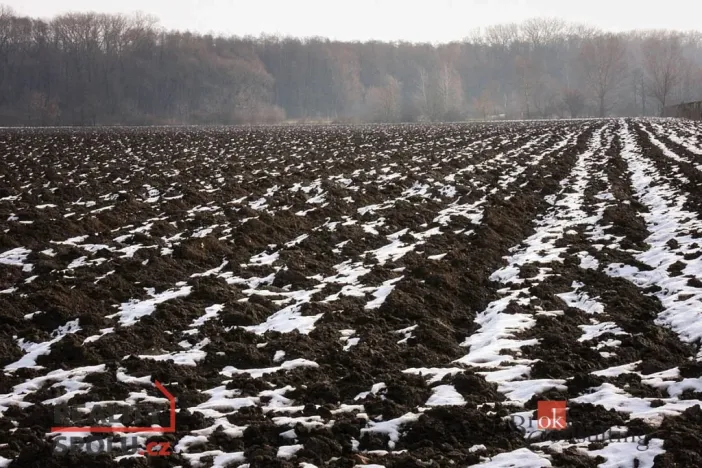 Prodej pole, Bohdašín, 54810 m2