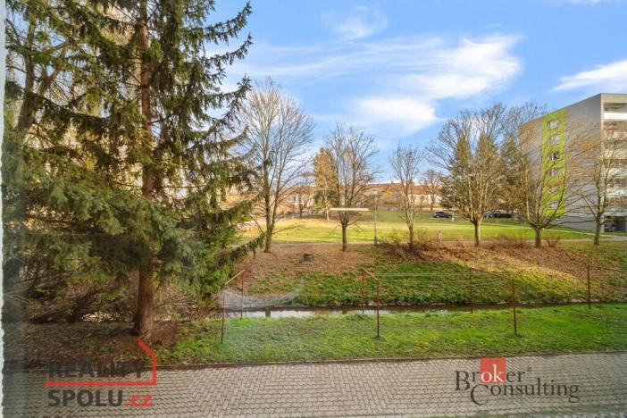 Pronájem bytu 1+1, Vysoké Mýto - Litomyšlské Předměstí, U Potoka, 38 m2