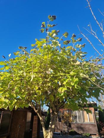 Prodej rodinného domu, Baška - Kunčičky u Bašky, 115 m2