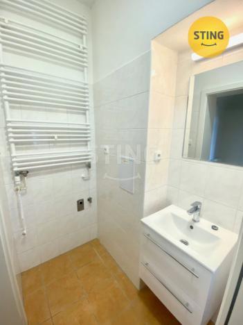 Pronájem bytu 2+kk, Opava - Předměstí, Anenská, 40 m2