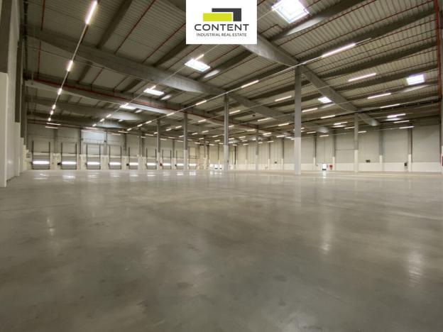 Pronájem skladu, Plzeň - Černice, K Cihelnám, 6766 m2