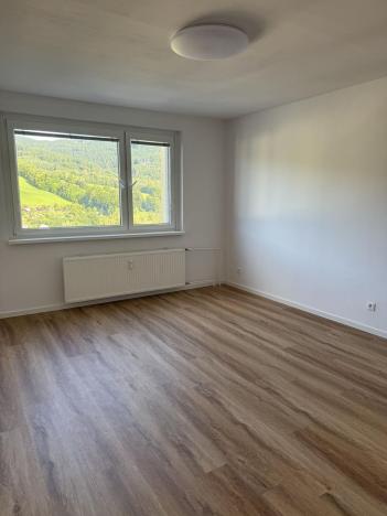 Pronájem bytu 3+1, Jeseník, Seifertova, 65 m2