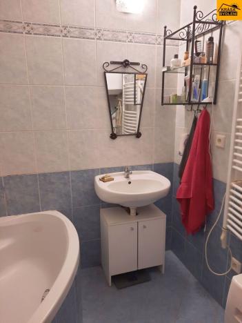Pronájem bytu 1+kk, Olomouc, Dolní hejčínská, 42 m2