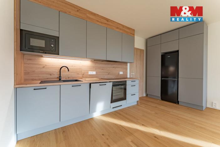 Pronájem bytu 1+kk, Brandýs nad Labem-Stará Boleslav - Brandýs nad Labem, Dřevčická, 38 m2