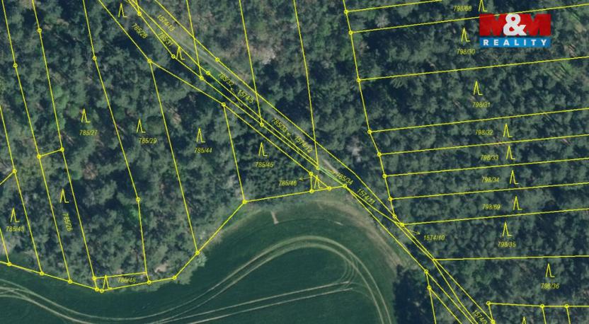 Prodej lesa, Koloveč, 10594 m2