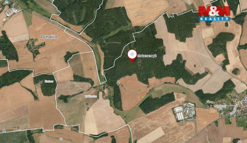 Prodej lesa, Koloveč, 10594 m2