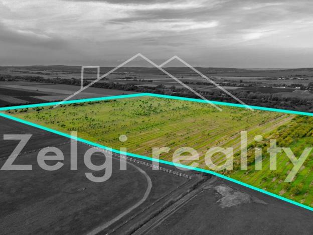 Prodej sadu/vinice, Rakvice, 210277 m2