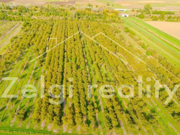 Prodej sadu/vinice, Rakvice, 210277 m2