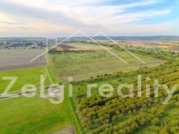 Prodej sadu/vinice, Rakvice, 210277 m2