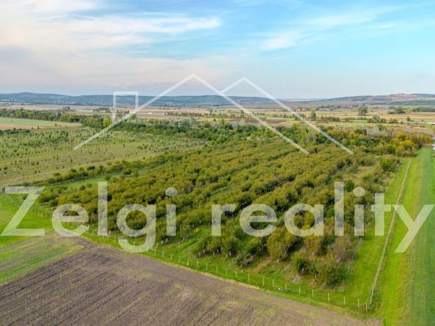 Prodej sadu/vinice, Rakvice, 210277 m2