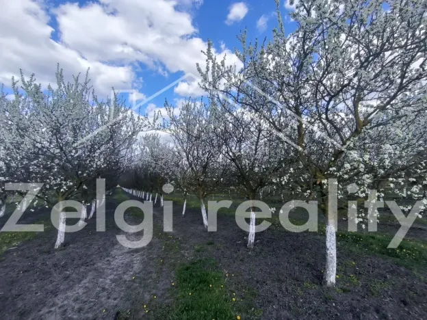 Prodej sadu/vinice, Rakvice, Horní, 210277 m2