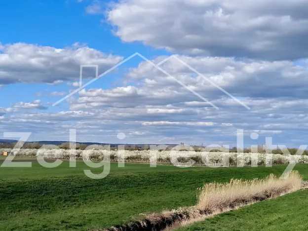 Prodej sadu/vinice, Rakvice, Horní, 210277 m2