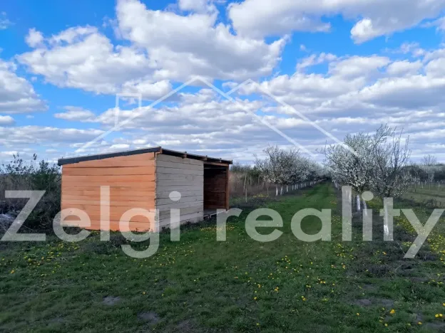 Prodej sadu/vinice, Rakvice, Horní, 210277 m2