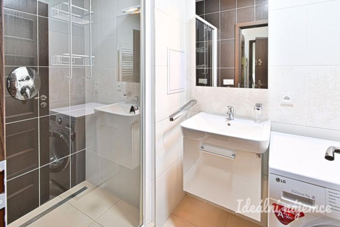 Pronájem bytu 2+1, Brno, Palackého třída, 60 m2