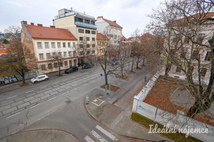 Pronájem bytu 2+1, Brno, Palackého třída, 60 m2