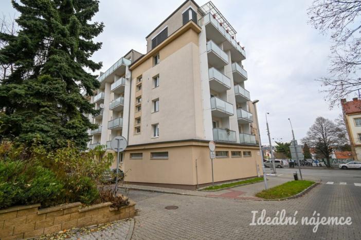 Pronájem bytu 2+1, Brno, Palackého třída, 60 m2