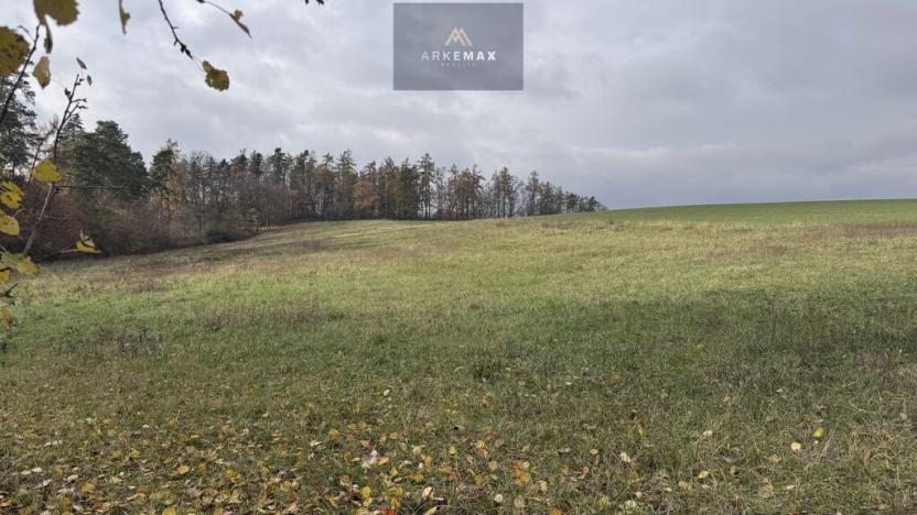 Prodej pole, Vřesina, 17151 m2