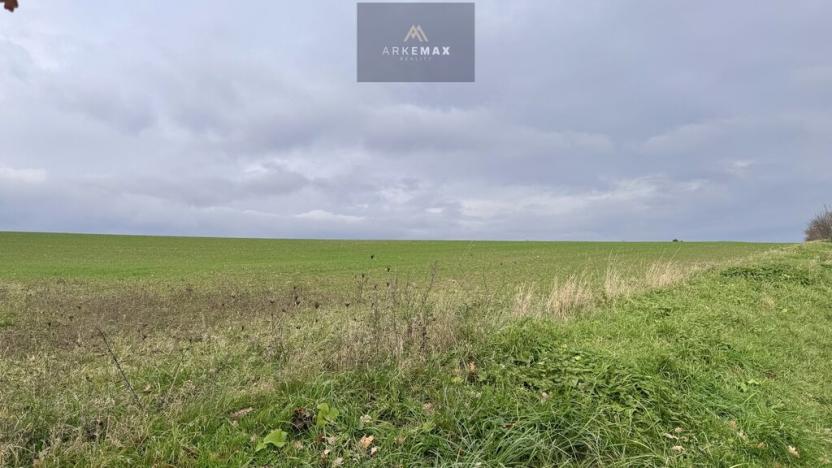 Prodej pole, Vřesina, 17151 m2