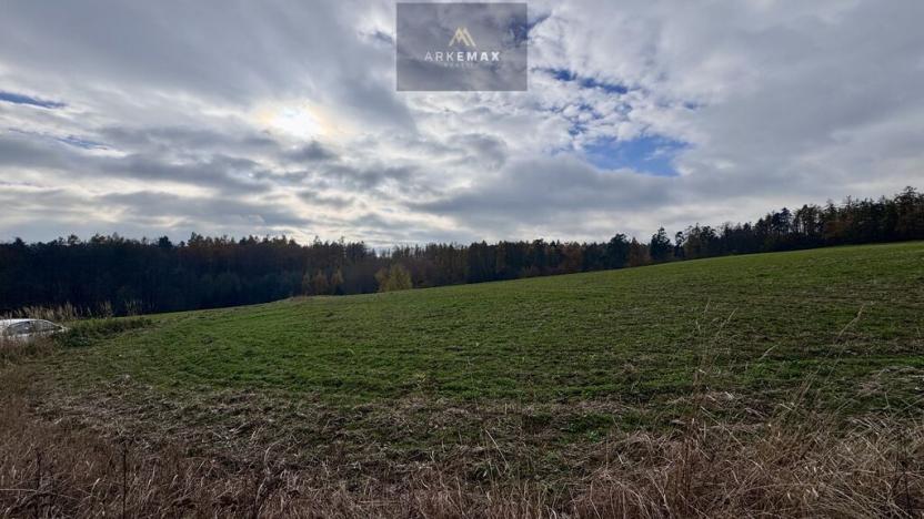 Prodej pole, Vřesina, 17151 m2