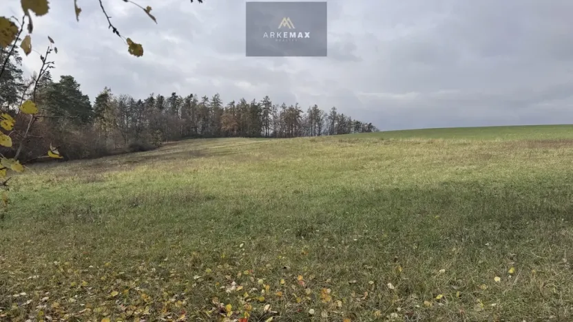 Prodej pole, Vřesina, 17151 m2