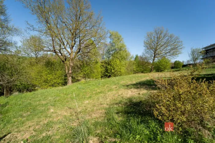 Prodej zahrady, Rybník, 1928 m2