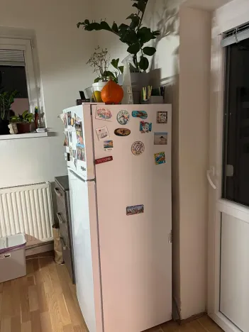 Pronájem bytu 2+1, Brno, Francouzská, 46 m2