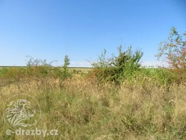 Dražba zahrady, Grunta, 689 m2