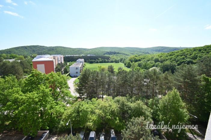 Pronájem bytu 1+1, Brno - Bystrc, Štouračova, 31 m2