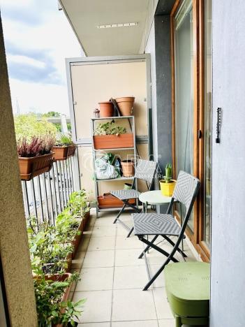 Pronájem bytu 2+kk, Plzeň - Východní Předměstí, U Ježíška, 59 m2