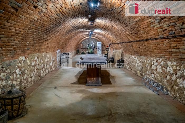 Pronájem obchodního prostoru, Pavlov, Česká, 264 m2