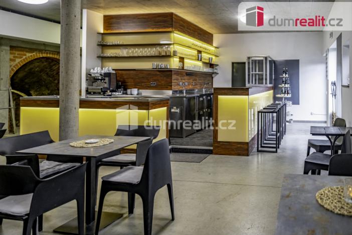 Pronájem obchodního prostoru, Pavlov, Česká, 264 m2