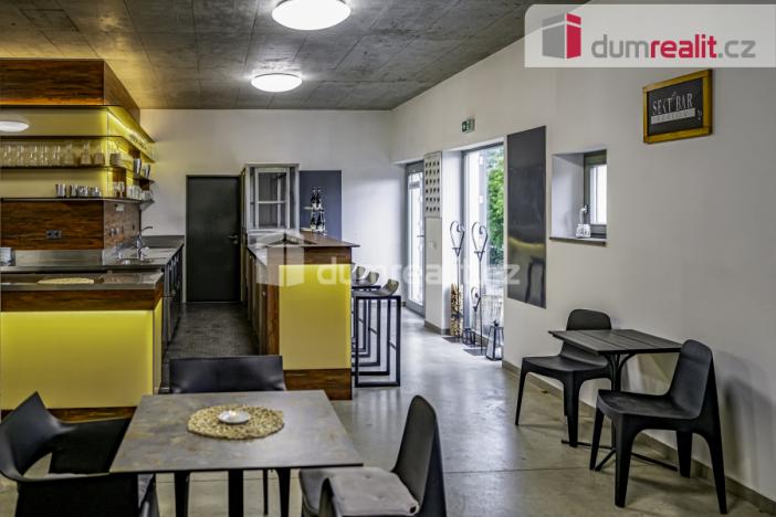 Pronájem obchodního prostoru, Pavlov, Česká, 264 m2