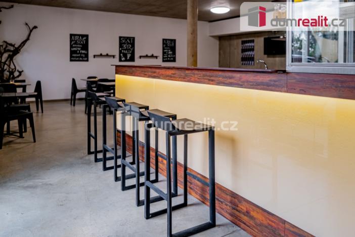 Pronájem obchodního prostoru, Pavlov, Česká, 264 m2