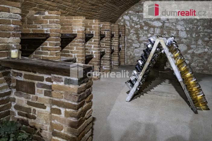 Pronájem obchodního prostoru, Pavlov, Česká, 264 m2