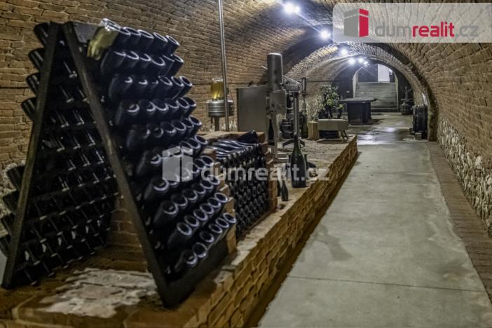 Pronájem obchodního prostoru, Pavlov, Česká, 264 m2