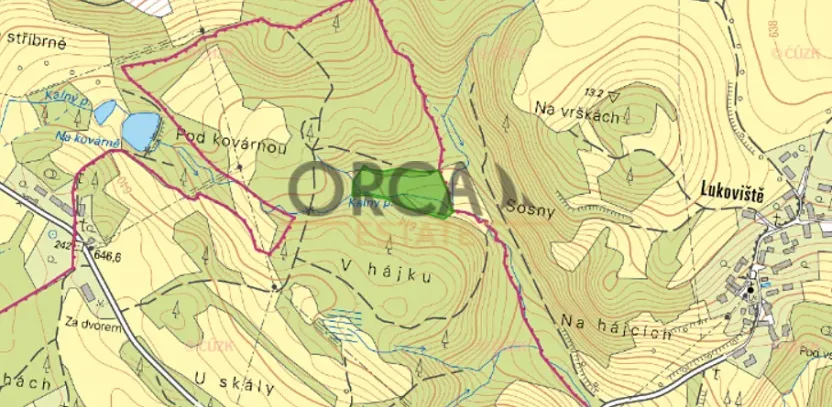 Prodej louky, Kolinec, 9891 m2