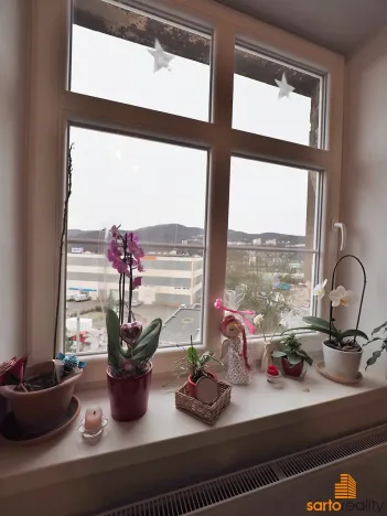 Pronájem bytu 3+1, Ústí nad Labem, Drážďanská, 74 m2