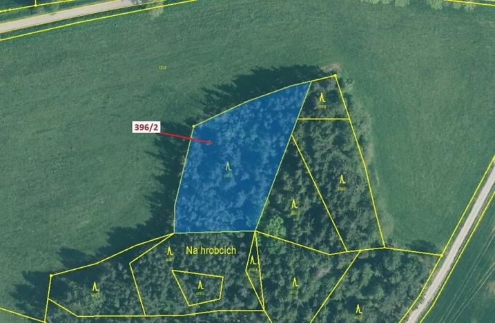 Dražba lesa, Kuřimany, 3340 m2