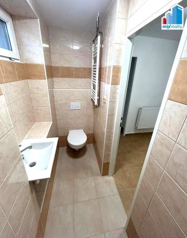 Pronájem bytu 1+1, Chodská Lhota, 34 m2