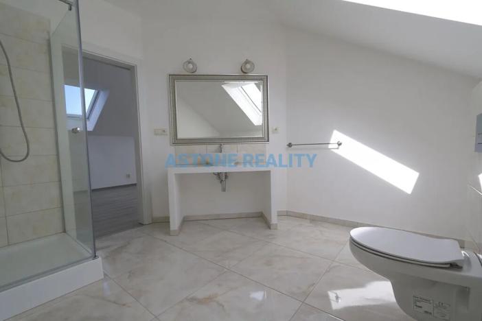 Pronájem rodinného domu, Trnová, 370 m2