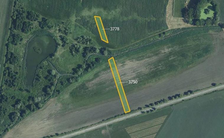 Prodej pole, Starovičky, 5778 m2