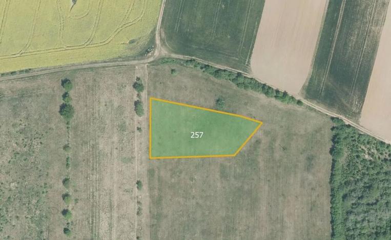 Prodej sadu/vinice, Troubky-Zdislavice, 6725 m2