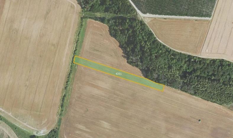 Prodej pole, Třtice, 8121 m2