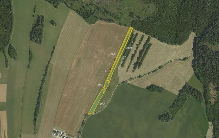 Prodej podílu louky, Kořenec, 5768 m2