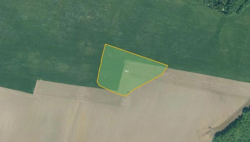 Prodej pole, Bor, 85030 m2