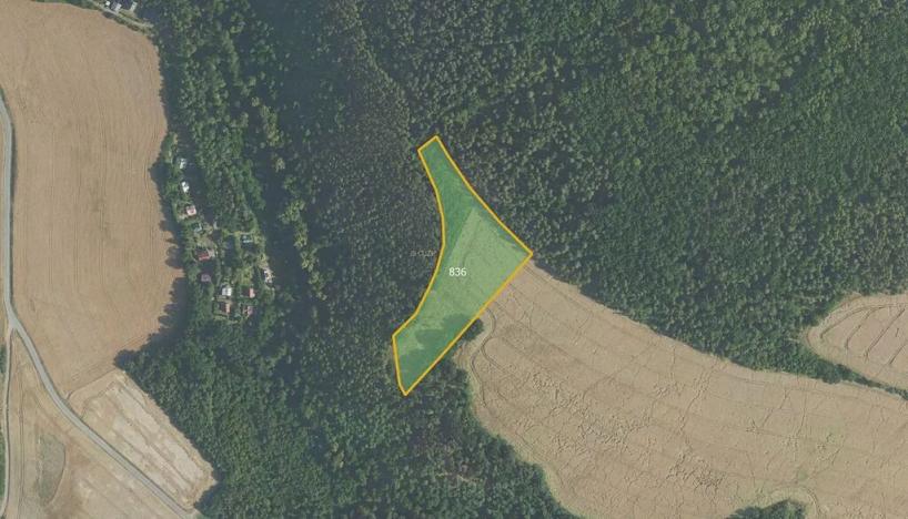 Prodej pole, Velká Lečice, 11887 m2