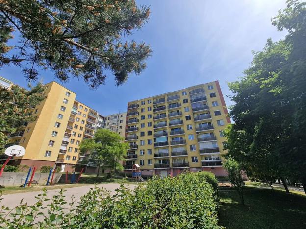 Pronájem bytu 1+kk, Brno, Okrouhlá, 28 m2