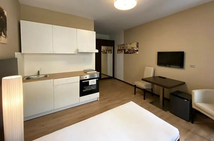 Pronájem bytu 1+kk, Brno, Francouzská, 24 m2